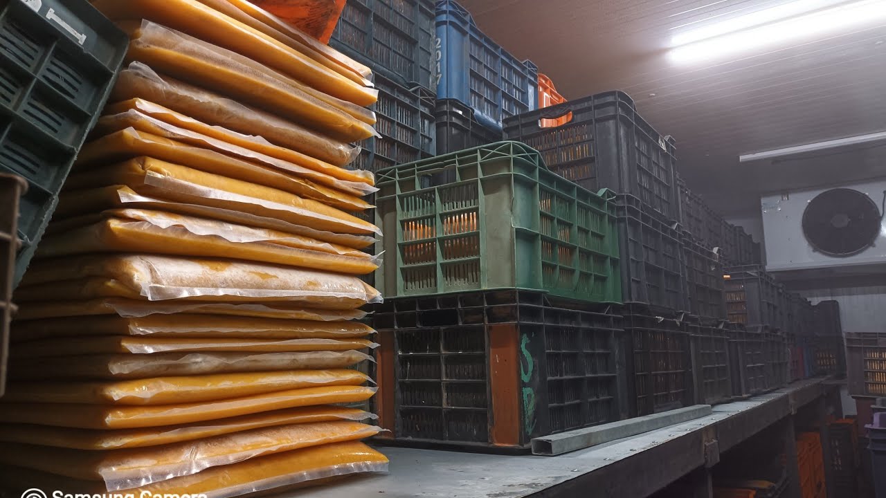 Frozen Foods Cold Storage Custerd Apple Mango Jamun Pulp Pune Maharashtra India