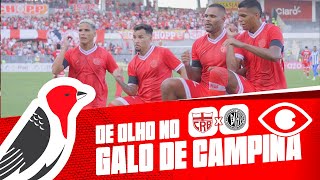 DE OLHO NO GALO DE CAMPINA - CRB X ASA