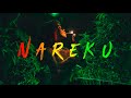 Nareku - Ragga Mix (Reggae, Raggastep, Dub) + Tracklist