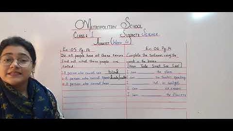 Metropolitan School Week 4 Class 1 Science Lesson