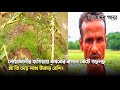 নোয়াখালীর হাতিয়ায় কৃষকের বাগান কেটে ত/ছ/ন/ছ