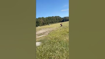 TALION 6S EXB #talion #arrma