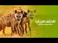 اكتشف براري افريقيا ادغال الكونغو الديمقراطية المهيبة أحب الطبيعة Love Nature اكتشف براري افريقيا ادغال الكونغو الديمقراطية المهيبة أحب الطبيعة Love Nature