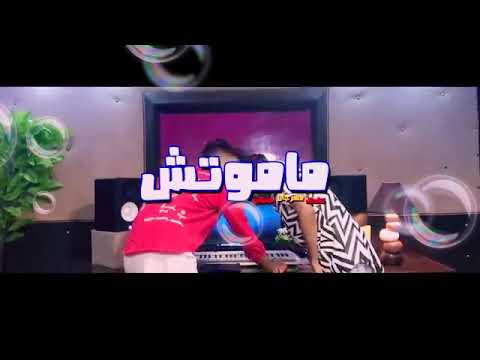 مهرجان قلبك بحر مالح