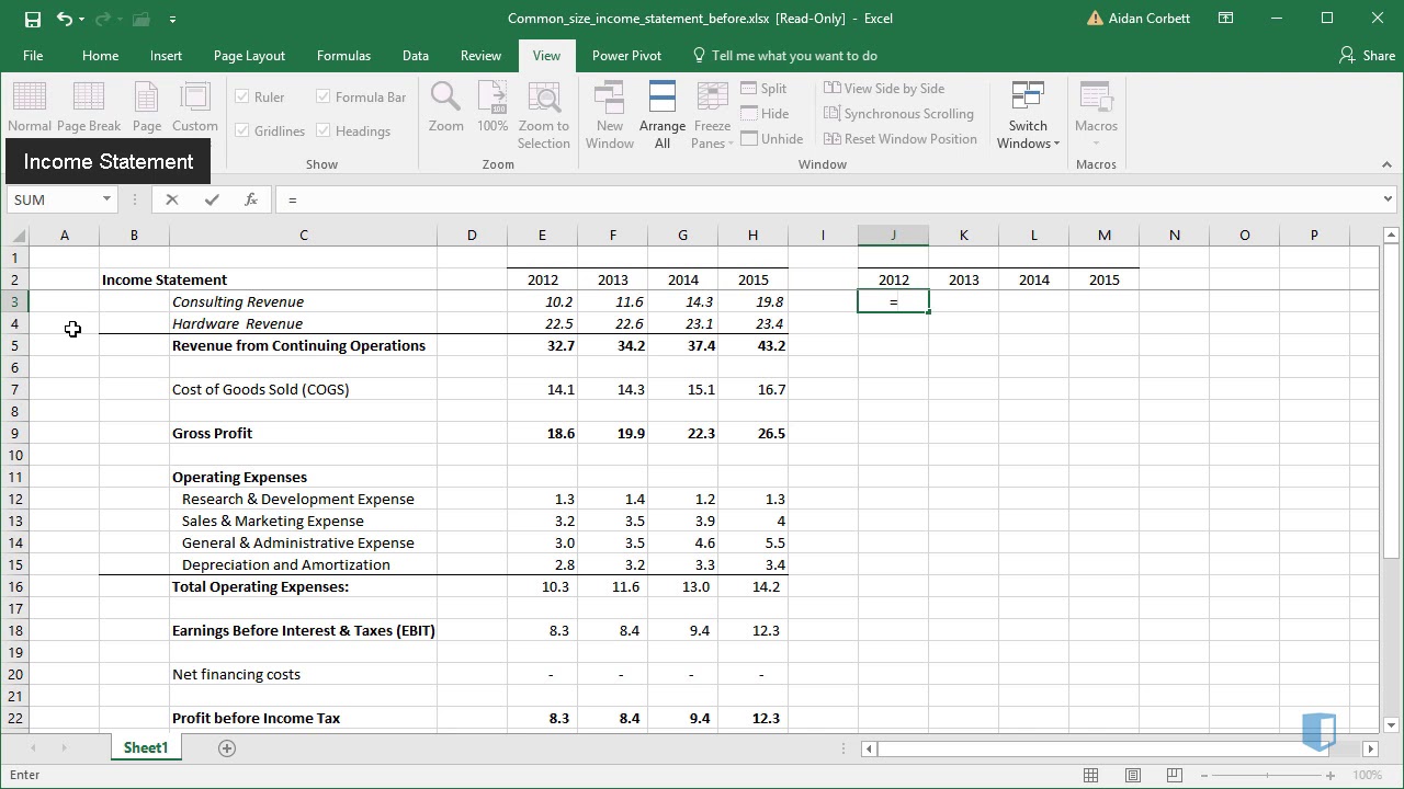 Common Size Income Statement Template Excel