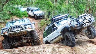 4x4 Challenge @ Tree Slammer Jeep vs Nissan vs Land Rover