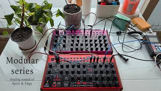 Proper chord progressions on Behringer Spice (feat. Edge)