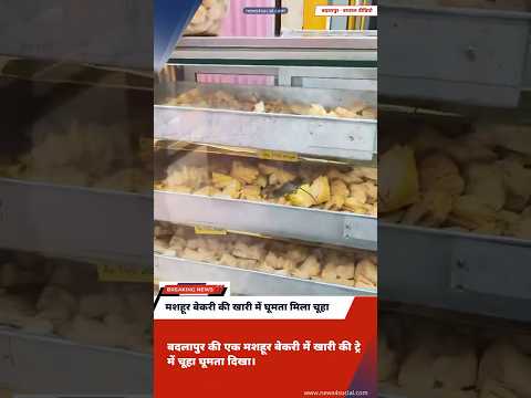 Viral Video मशहूर बेकरी की खारी में घूमता मिला चूहा #shorts #viralshorts #rat #bakery