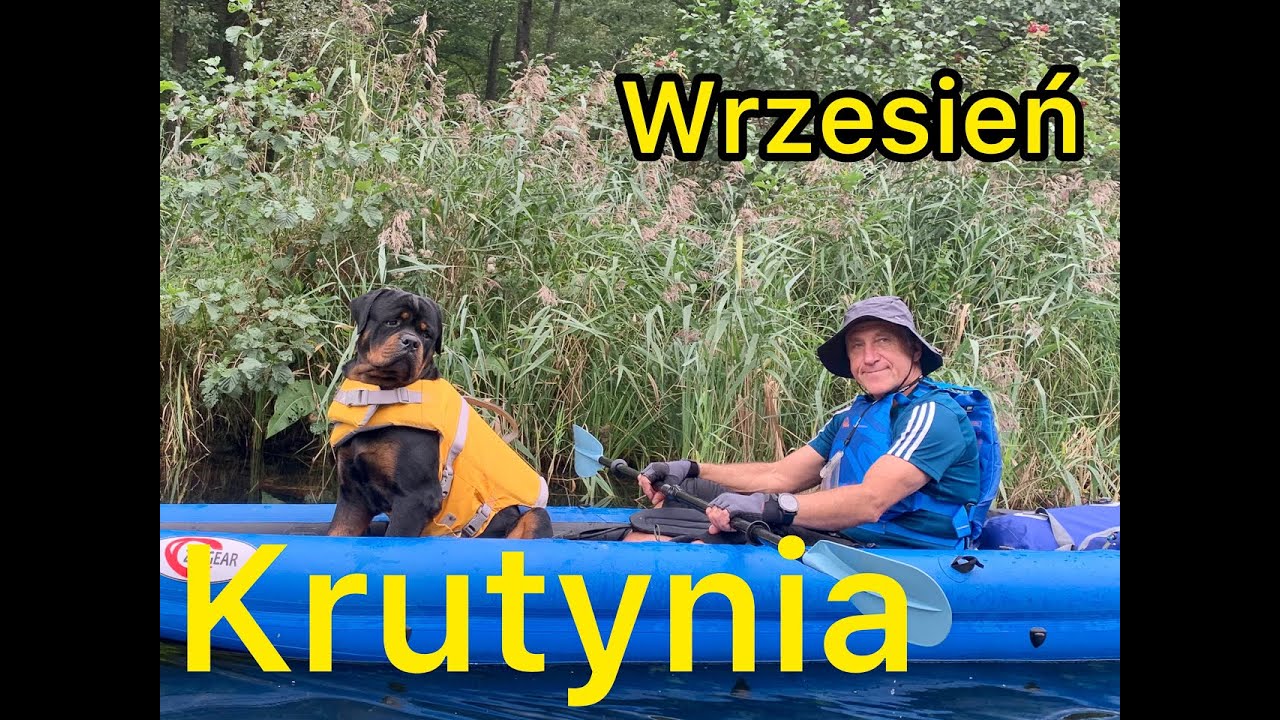 KRUTYNIA kajakiem we wrześniu z psami YouTube