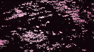 Hænesy - Limned Echoes Wending