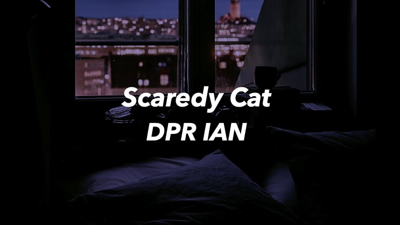 DPR IAN - Scaredy Cat.♡, ㅤ· ͟͟͞͞🐱 ― ❝ 「 DPR IAN - Scaredy Cat.♡」ˎˊ˗ ;;   ♡.𝓸𝓴𝓪𝓼𝓼𝓲𝓪𝓷, By •Everything In  K-Underground•