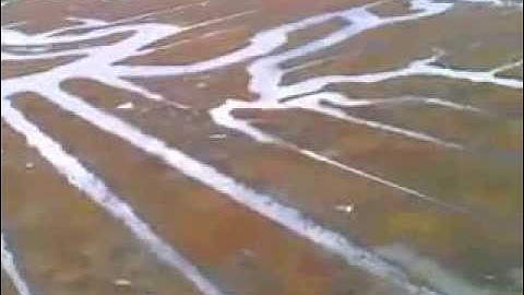 TekSumo flying wing over Crab Meadow Park