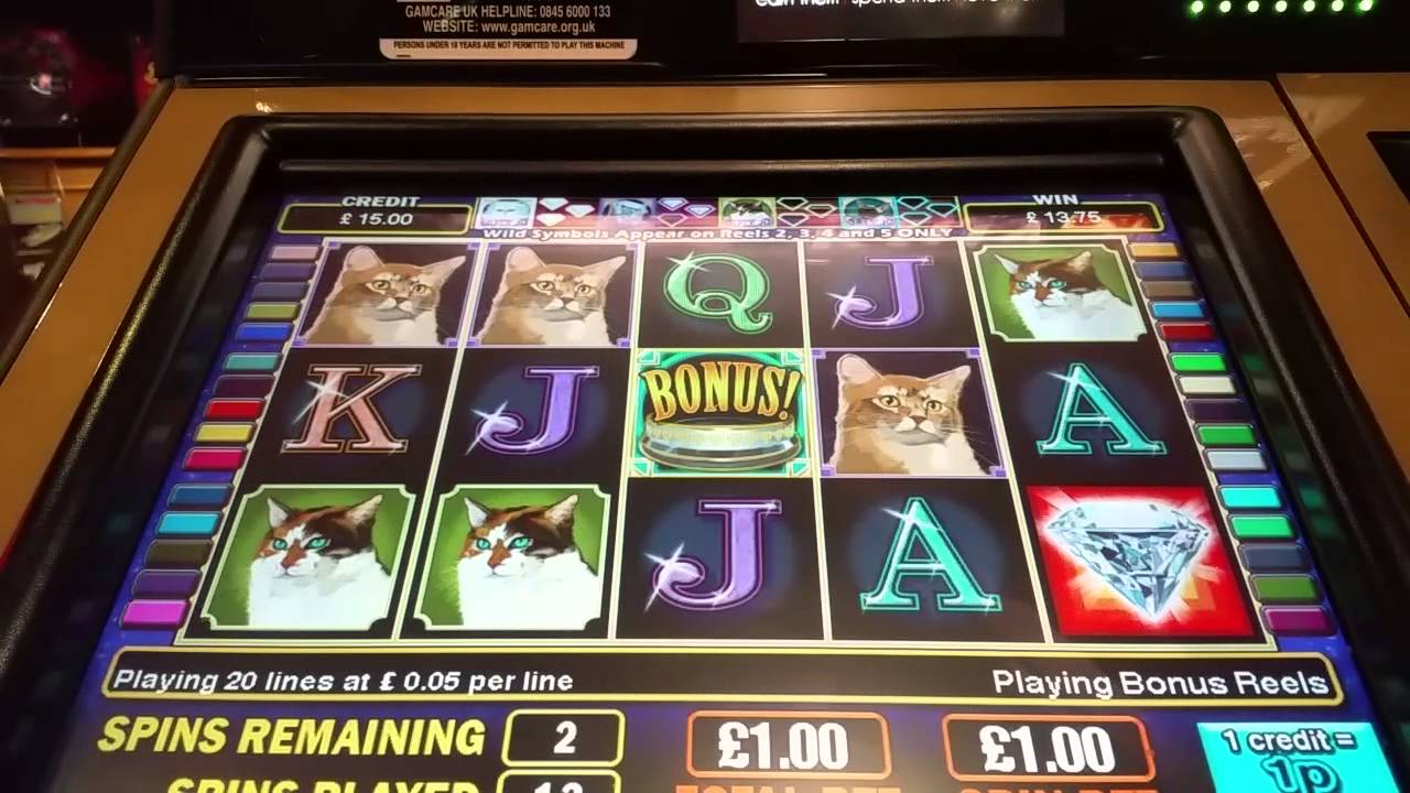 Jogos de slots online Fortune Teller – Amaya Jogos de slots online Fortune Teller – Amaya