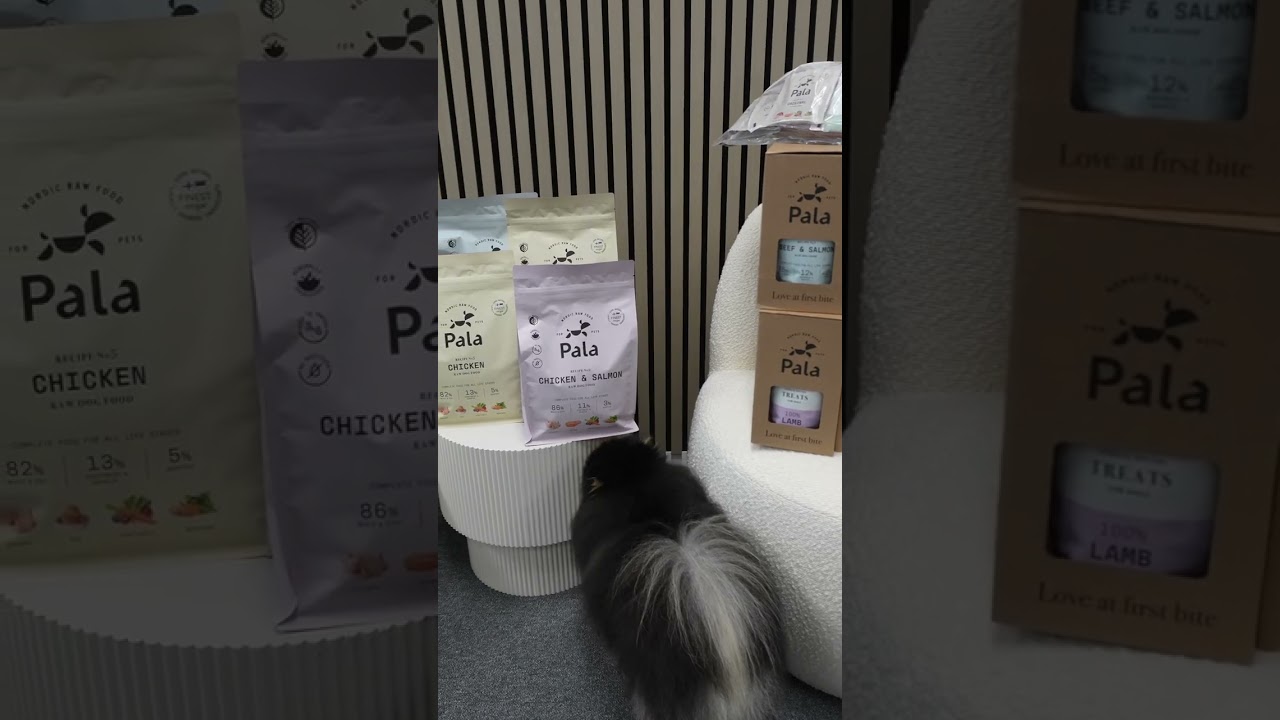 Best pet care starts from within! | pet care tips 🐶 Best pet care starts from within! | pet care tips 🐶