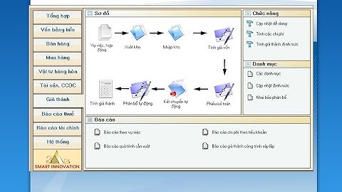 SAS INVOICE 2020 - Phan he gia thanh