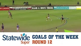 Round 12 Statewide Super Goals of the Week