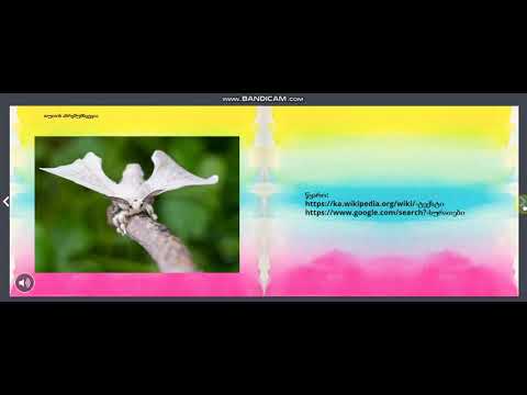 თუთის აბრეშუმხვევია