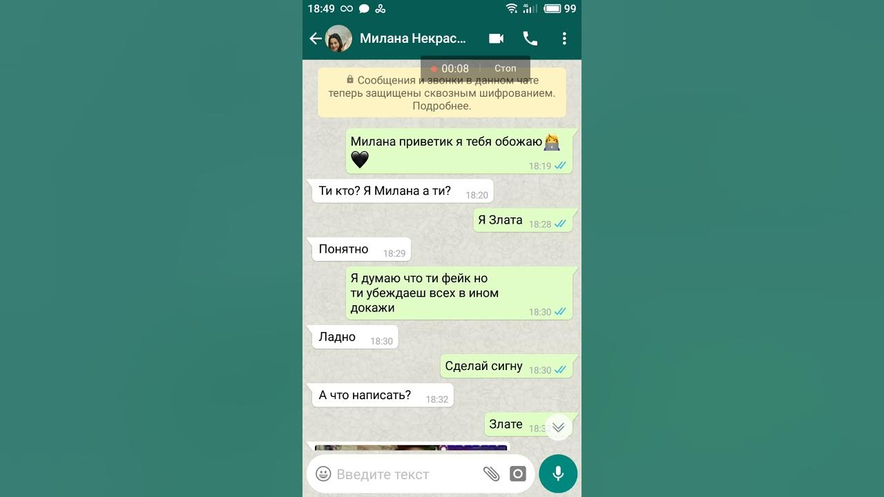 Как открыть переписку в ватсапе. Переписка ватсап. фон переписки ватсап. идеи для фейковых переписок в ватсапе.