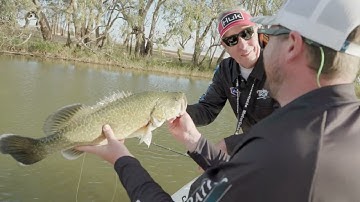 One of the best Murray Cod fisheries is Lake Mulwala