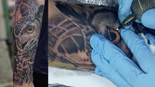 Owl tattoo time lapse