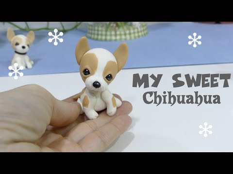 Vídeo: Com Criar Una Chihuahua