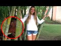 Top 30 Scary Things Hidden In Pictures - Part 2