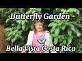 Butterfly Garden Near Bella Vista Retreat In Costa Rica