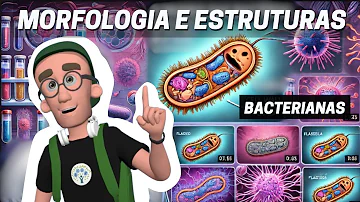 Como é uma célula de uma bactéria?