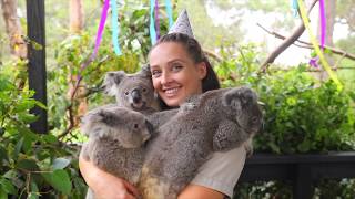JOINT KOALA BIRTHDAY! | The Australian Reptile Park