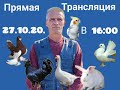 О Рынке Города Кропоткин.About the Market of the City of Kropotkin