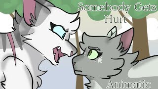 Somebody gets hurt (warriors animatic) // REDO