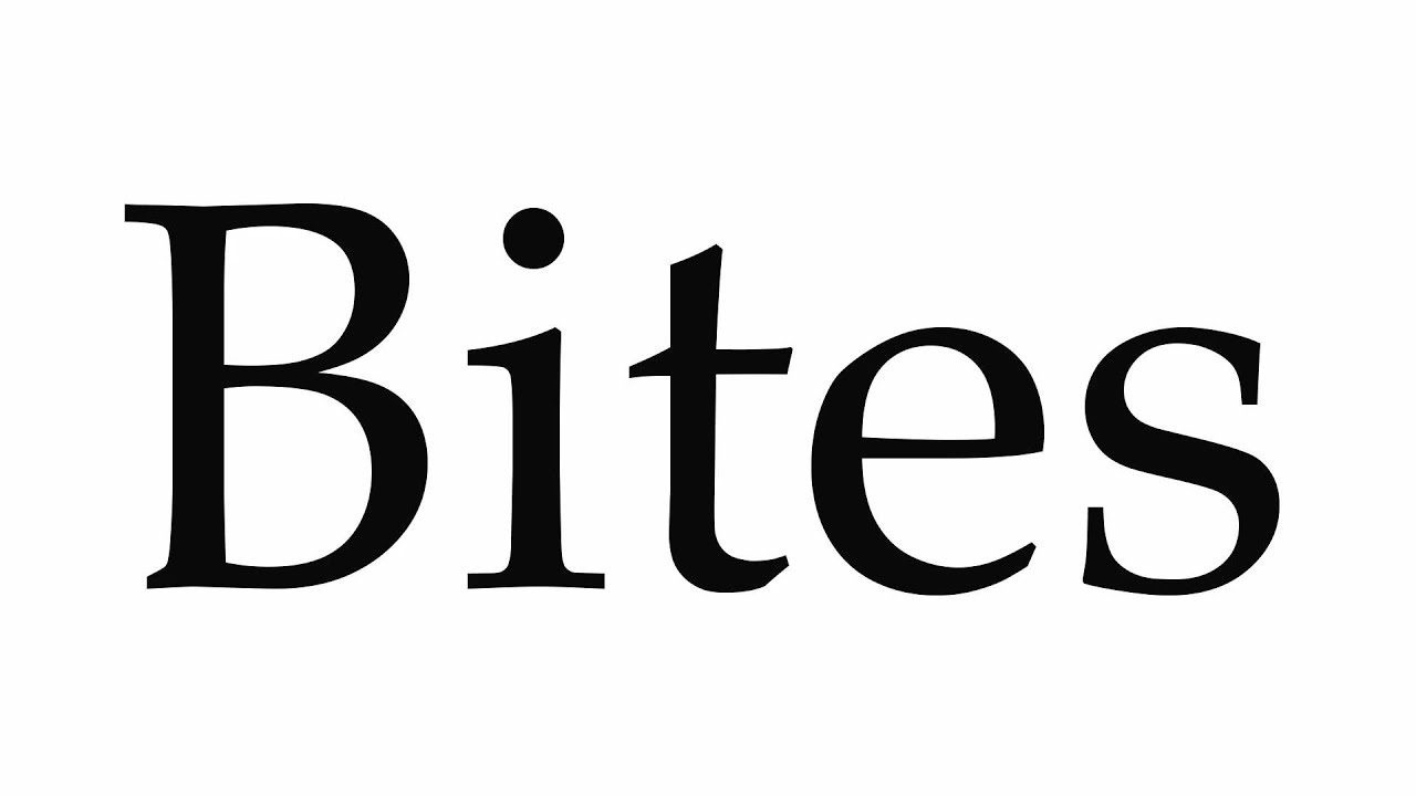 How to Pronounce Bites How to Pronounce Bites
