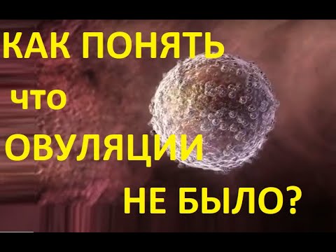 Видео: Как справиться с болезненной овуляцией: 10 шагов (с иллюстрациями)