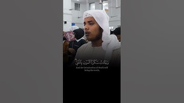 خشوع لا يوصف وأداء متقن لآيات بينات من #سورة_ق بصوت القارئ اليمني الشيخ #محمد_الشماسي