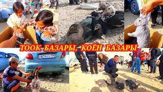 видео: Дакандар, коён, өрдөк, чөжөлөр баалары. Каналга ПОДПИСАТЬСЯ болуп колдоп коюңуздар. #тоок #базар #kg картинка: Дакандар, коён, өрдөк, чөжөлөр баалары. Каналга ПОДПИСАТЬСЯ болуп колдоп коюңуздар. #тоок #базар #kg