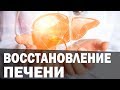 Повышенная ПИТТА и болезни печени. Аюрведа Здесь