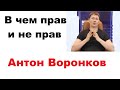 Личное мнение о ролике Антона Воронкова про моторные масла.