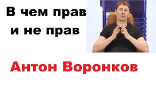Личное мнение о ролике Антона Воронкова про моторные масла.
