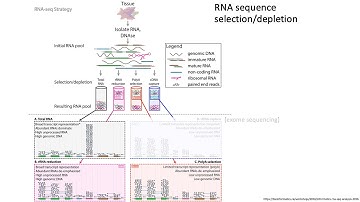 MCB 182 Lecture 9.2 - Bulk RNA-seq fundamentals