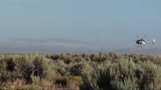 Triple B Wild Horse Roundup Aug 1, 2011