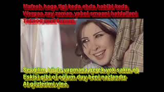 Nancy Ajram  Ah W Noss Türkçe Çeviri Resimi