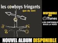 Les cowboys fringants  paris  montral 