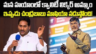 YS Jagan Claims we Sold 100% Quality Liquor, Fires at Quality Decline Under Chandrababu Rule