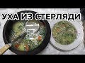 УХА ИЗ СТЕРЛЯДИ. ПАЛЬЧИКИ ОБЛИЖИТЕ