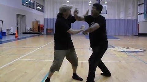 Fighting Arts - Yin Style Bagua - Entering Attacks