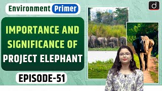 India’s Desperate Need to Save its Elephants | Environment Primer | Drishti IAS English