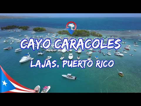 Video: Cayo caracoles nyob qhov twg?
