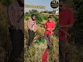 ਕਨੇਡਾ ਤੋਂ ਵਾਪਸ ਆ ਕੇ india ਵਿੱਚ ਕੀਤਾ ਬਿਜਨਸ #virlreel #public #khetibadi #kisan #panjab #canada