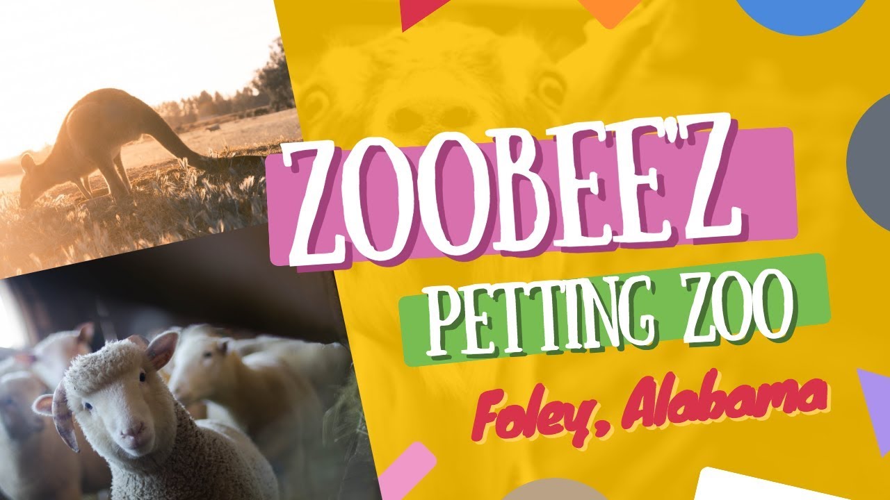 Sissy Island Petting Zoo