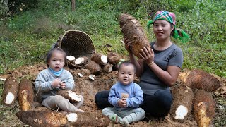 Harvest wild tubers to sell at the market - cook fish and wild tubers for your children to eat